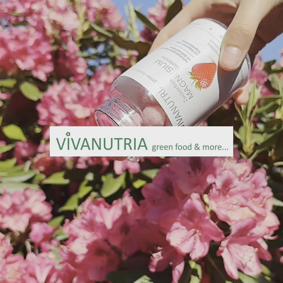 VivaNutria Magnesium Gummies aus Magnesiumcitrat mit Erdbeergeschmack, vegan